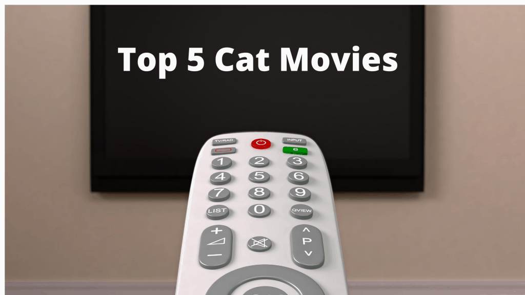 Top 5 Cat movies