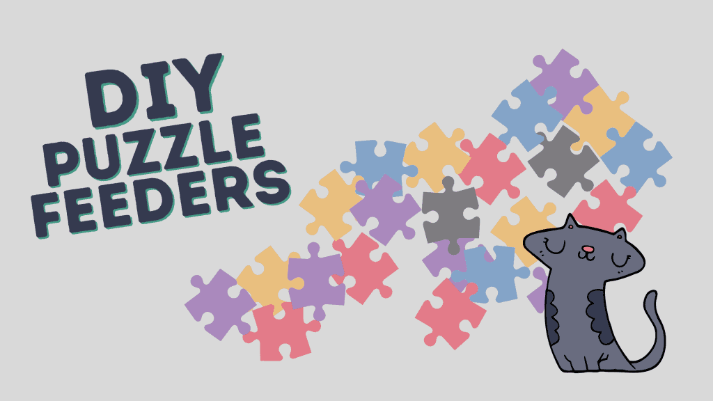 DIY Puzzle Feeder