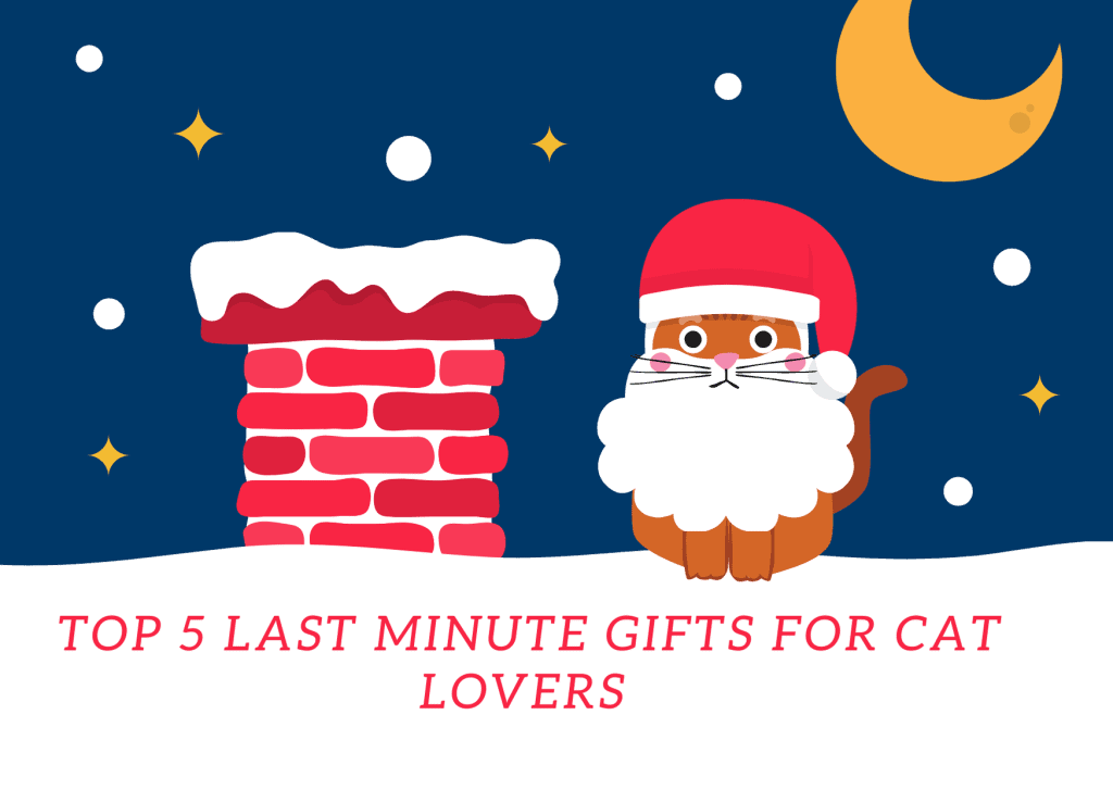 Last minute gifts