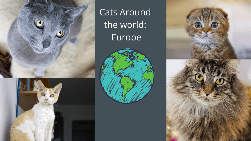 Europe Cats