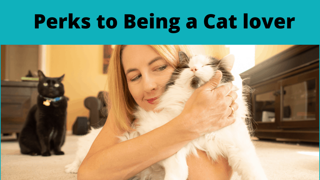 Health benefits to owning a pet