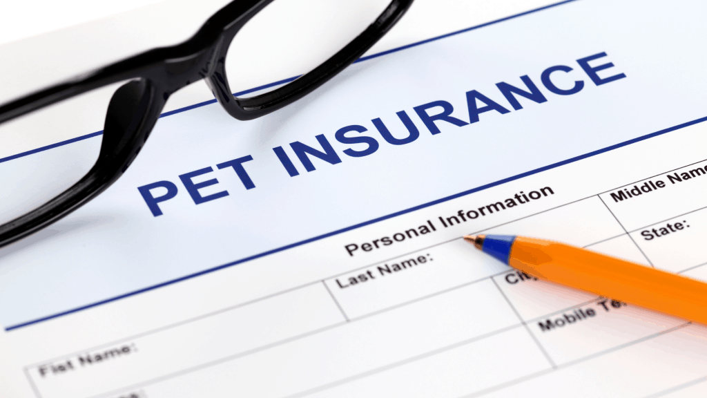 Pet Insurance: Why Buy?