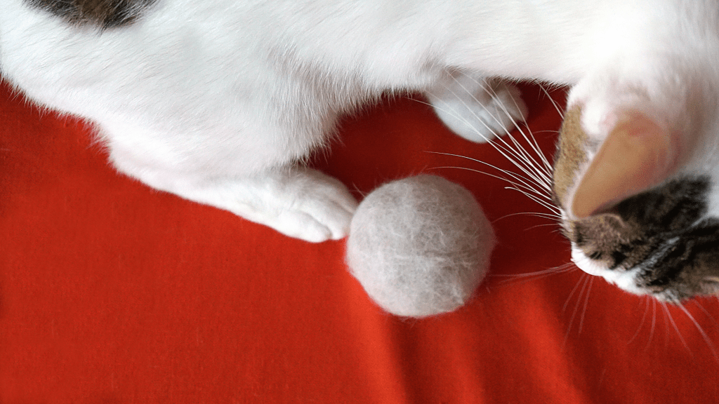Everything you need to know about hairballs