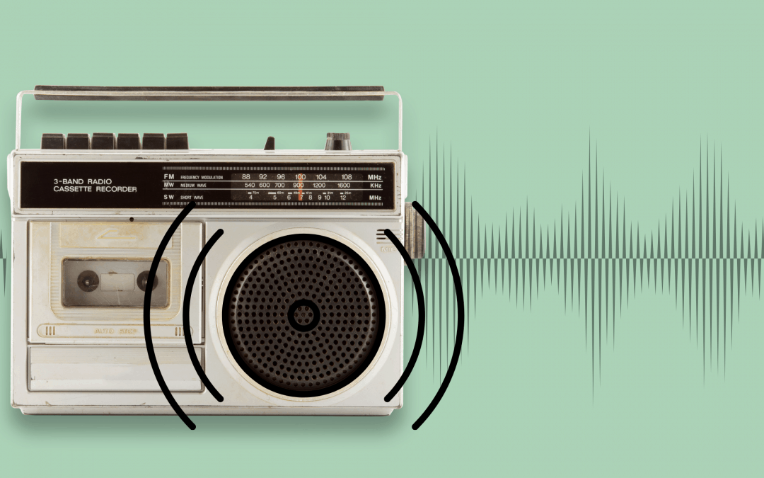 Should You Leave the Radio/TV on for Pets